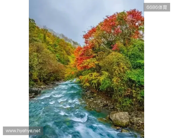 二郎山喇叭河赏秋之旅：立体彩林、野生动物、溪谷红石融为一体